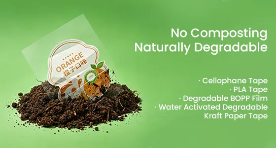 recover-biodegradable-adhesive-solutions.webp